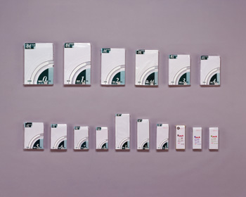 �z���C�g 100P NPW